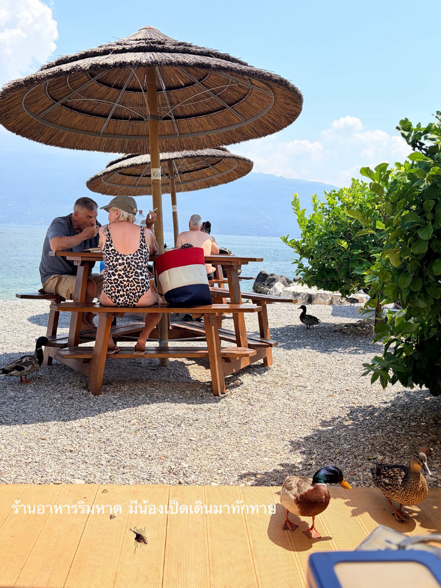 💙 Review of Lake Garda, the largest lake in Italy 🇮🇹