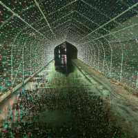 Christmas Lights in Carmel, IN