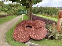 Safari Lagoi Bintan
