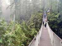 트와일라잇촬영지로 알려진 Vancouver에 위치한 Lynn Canyon park