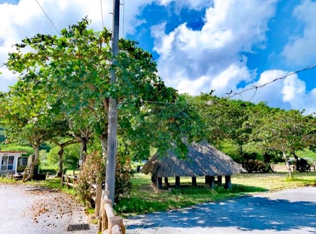 安田公民館