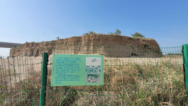石家庄滹沱河边崖沙燕自然保护区一日游