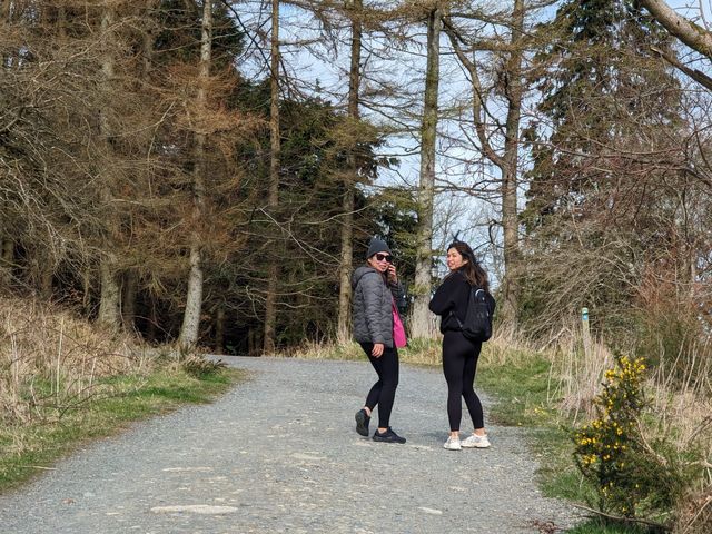 Dublin’s Mountain