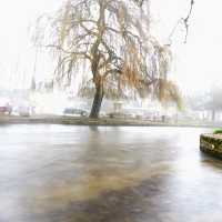 UK Winter festive fun
