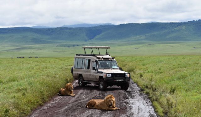 5 Day Safari - Ngorongoro National Park