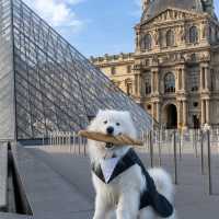 The number 1 Museum in Paris – The Louvre