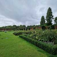 🌿 Hampton Court Maze! 🏰🌼