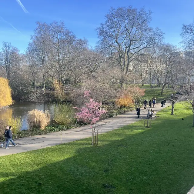 St James Park