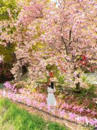 완산칠봉꽃동산 🌸