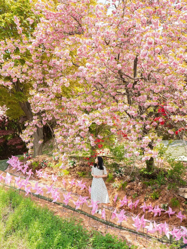 완산칠봉꽃동산 🌸