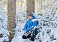 Summit Serenity: A Journey Through the German Alps