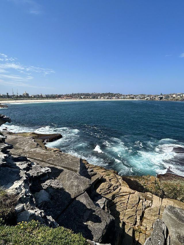 🌊 Coastal Bliss: Hiking from Coogee to Bondi Beach 🥾🏝️