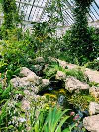 Kew Gardens: A Living, Breathing Wonderland 🌿🌸