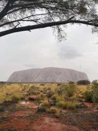 Uluru: A Rare and Magical Sight! 🌟😍