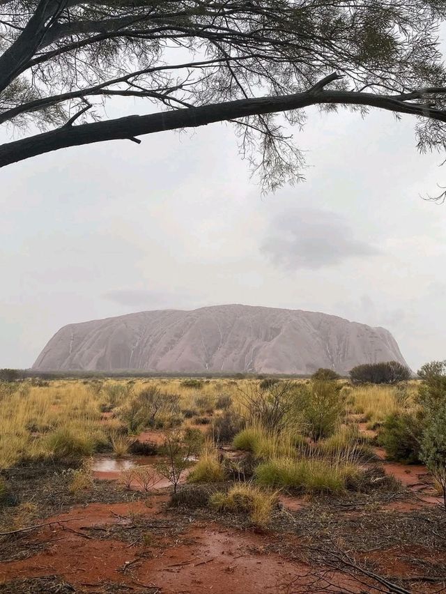 Uluru: A Rare and Magical Sight! 🌟😍