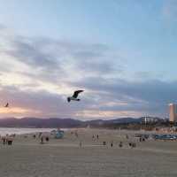 🌊✨ Experience the Magic of Santa Monica Pier! 🎡🌅