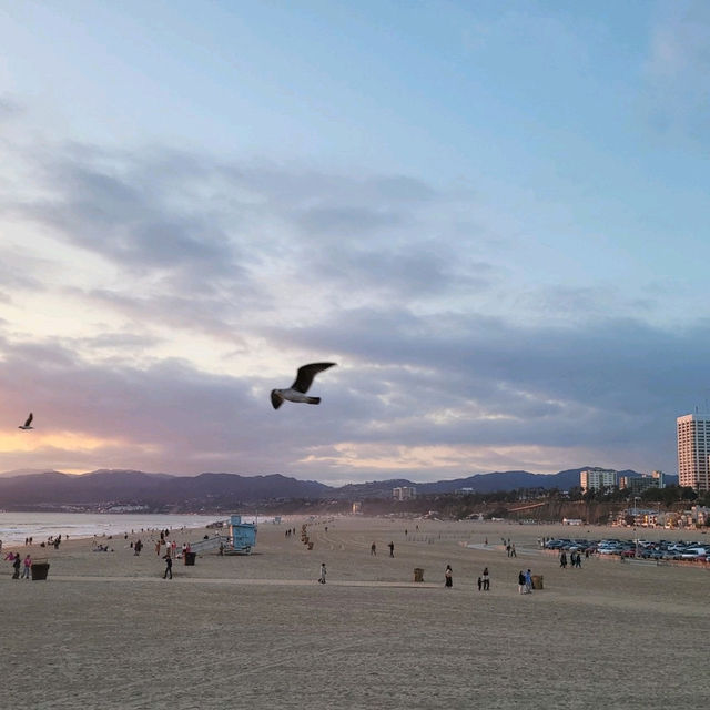 🌊✨ Experience the Magic of Santa Monica Pier! 🎡🌅