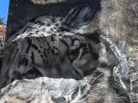 The Melbourne Zoo