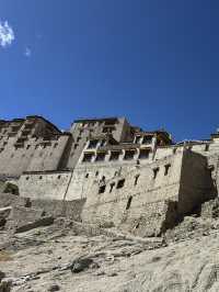 Royal Palace lost in mountains 