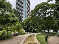 Tokyo 6 Days Travel Guide 