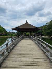 🦌 Nara Day Trip: What to See and How to Get There from Kyoto/Osaka