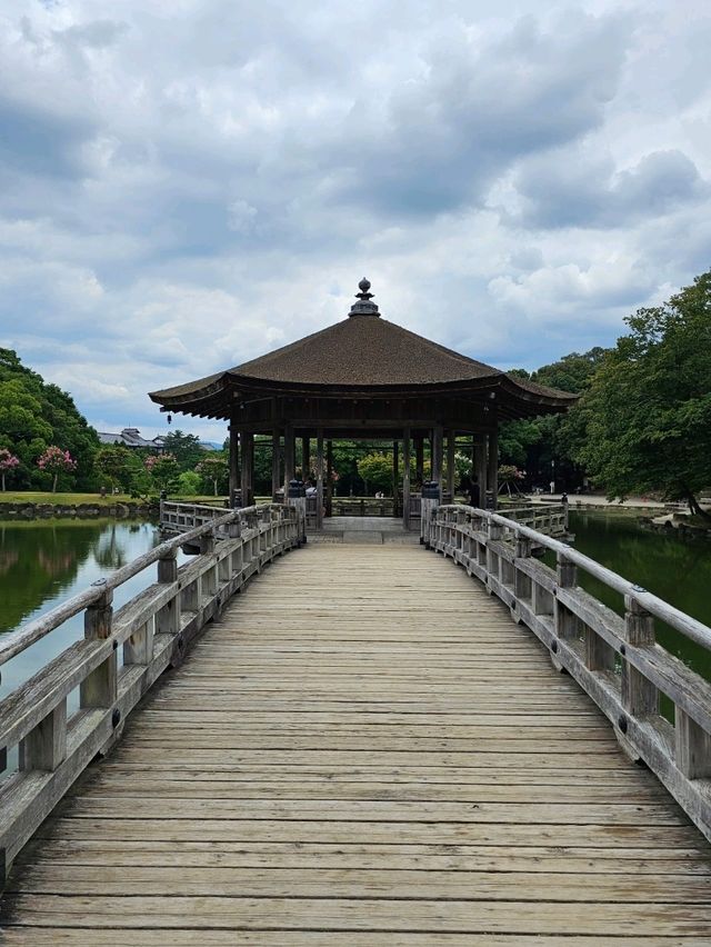 🦌 Nara Day Trip: What to See and How to Get There from Kyoto/Osaka