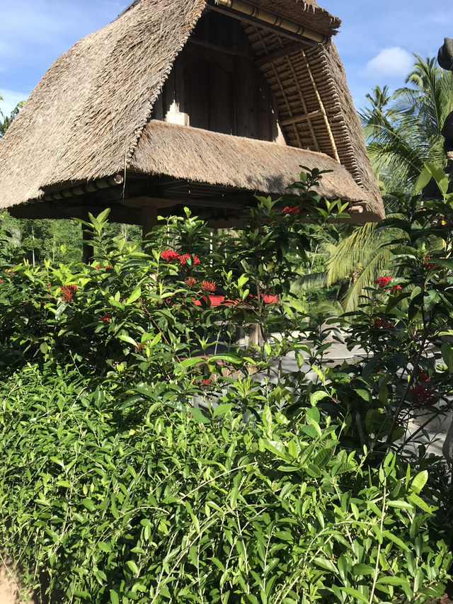 My Personal Retreat That Felt Like a Dream  🧘‍♀️💫