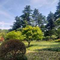 Little parks in Shanghai, little water worlds in the heart of the city