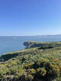 더블린에 오면 꼭 가야할 Howth cliffs walk!