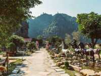 Mua Cave Viewpoint: The Best Panoramic View in Tam Coc, Vietnam