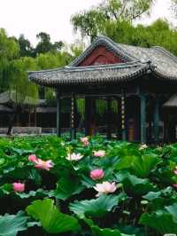 🌿 Summer Palace – An Imperial Garden of Tranquility and Grandeur