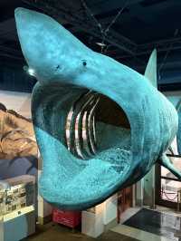 My Favourite Free Place In Cardiff, The Incredible National Museum Of Wales 