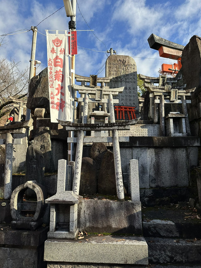 Exploring Kyoto’s spiritual heart was an absolute highlight!