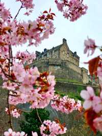 Princes Street Gardens, Edinburgh: Green Escape in the City 🌳🏞️🏴