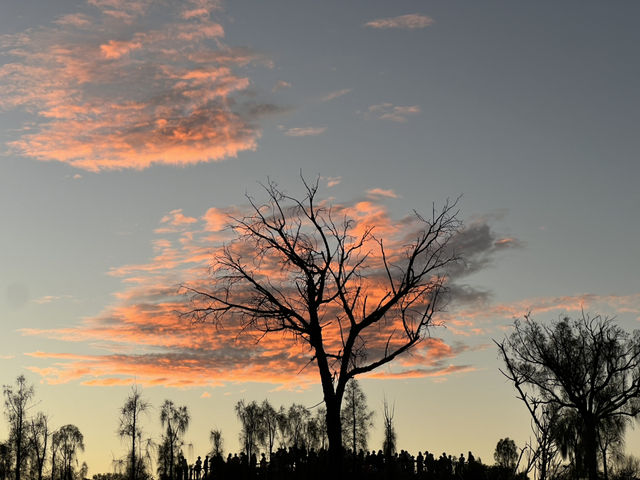 Sunrises, Sunsets, and Stars: Experience the Magic of Uluru 🇦🇺 🦘 
