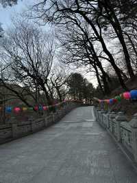 Here’s your cheat sheet for 3 epic days in Daegu Korea
