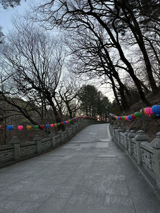 Here’s your cheat sheet for 3 epic days in Daegu Korea