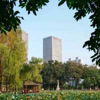 🗿 9 Lions Sculpture: Hefei’s Bold Art Landmark
