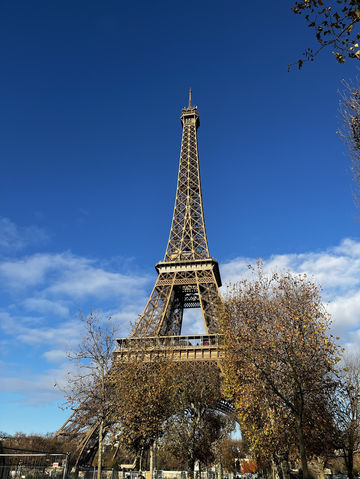 Majesty in Metal: The Eiffel Tower Unveiled 🇫🇷