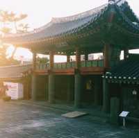 Jeju Island: Volcano Views, Fresh Air & Island Magic 🌊✨