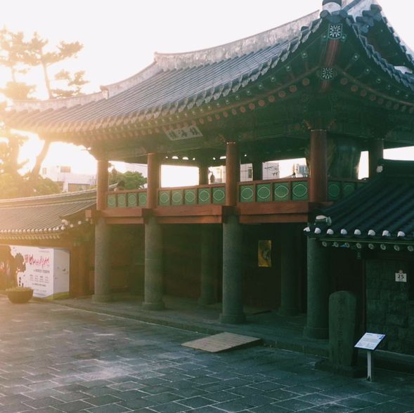 Jeju Island: Volcano Views, Fresh Air & Island Magic 🌊✨ Jeju Island: Volcano Views, Fresh Air & Island Magic 🌊✨