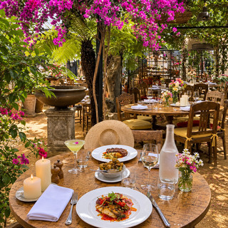 🇬🇧 One of London’s Most Romantic Hidden Restaurants 🌿
If someone had shown me these photos without telling me where they were taken, I would’ve guessed Tuscany or a countryside restaurant somewhere in France.
But no…
This hidden gem is tucked away in Richmond, just outside central London.
Surrounded by beautiful gardens, climbing plants and historic greenhouses, Petersham Nurseries feels like stepping into another country.
It’s peaceful, elegant and one of those places that instantly makes you slow down.
📍 Where to Find It
🍽️ Petersham Nurseries Restaurant
📍 Church Lane, Richmond, London TW10
🚆 Nearest Station: Richmond Station (National Rail, District Line & Overground)
🚶 Around a 15-minute walk through Richmond’s charming streets.
If you have extra time, combine your visit with Richmond Park or a walk along the River Thames.
🌸 Why It’s Worth Visiting
Unlike most London restaurants, this isn’t just about the food.
The entire setting feels magical.
You’ll eat surrounded by flowers, olive trees, antique decorations and glasshouses filled with natural light.
It honestly doesn’t feel like London anymore.
Whether you’re planning a romantic date, celebrating something special or simply escaping the city for a few hours, it’s one of the most memorable places I’ve visited.
🍽️ What to Expect
The menu changes with the seasons and focuses on fresh British ingredients.
Every dish is beautifully presented, but the atmosphere is what people remember most.
The service is relaxed, the surroundings are incredibly peaceful and every corner feels photo-worthy.
💡 Travel Tip
Book well in advance, especially for weekends.
If the weather is nice, spend some time exploring the nursery gardens before or after your meal.
It makes the whole experience even more special.
❤️ What I Loved
🌿 One of London’s most romantic restaurants.
🌸 Beautiful gardens and greenhouse dining.
📸 Perfect for photos.
🍷 Amazing atmosphere for special occasions.
🚶 Easy to combine with Richmond Park or the Thames.
✨ It feels more like Italy than London.
⭐ Final Thoughts
London has thousands of restaurants.
But very few make you forget you’re actually in London.
Petersham Nurseries is one of those rare places where the atmosphere is just as memorable as the food.
If you’re looking for somewhere peaceful, beautiful and completely different from the usual tourist spots, I’d definitely add this to your list.
#LondonHiddenGems #RichmondLondon #PetershamNurseries #LondonCafe #LondonFoodie #SecretLondon #VisitLondon #LondonBucketList #WisteriaSeason #OutdoorCafe #CafeHopping #TravelUK #UKTravel #WeekendInLondon #TripMoments