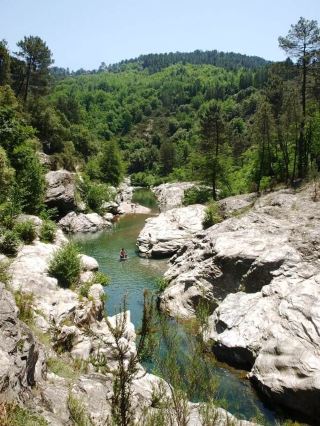 The Rugged Wilderness of Shepherds and Chestnut Forests: The Cévennes, France 🇫🇷🌲