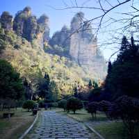Avatar mountain Zhangjiajie 