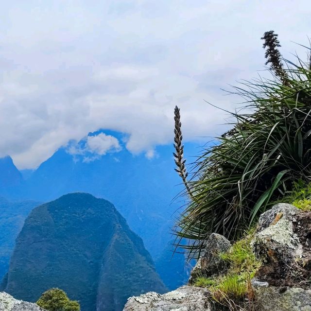 🌅🌿🌄 Unforgettable Views: Machu Picchu