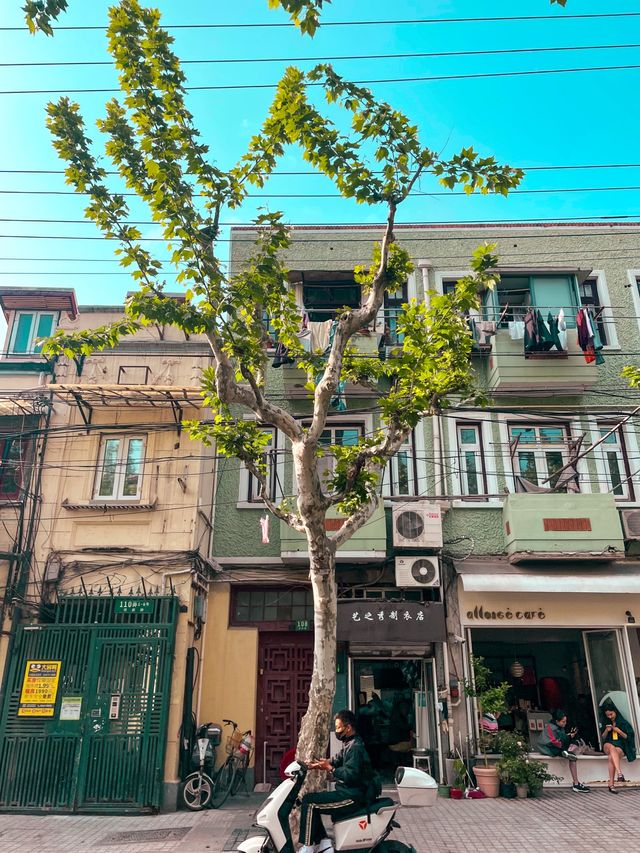 Accidentally Wes Anderson in Shanghai