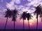 larkin_2133