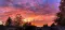 stellara_2235