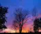 elysian_4154