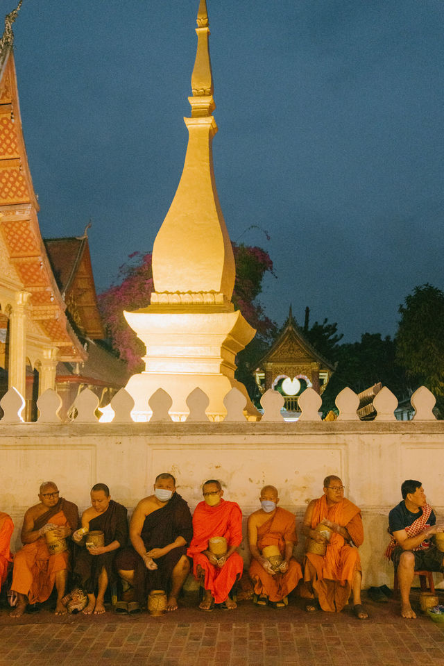 Luang Prabang morning alms giving | Feel the wonderful atmosphere with the monks